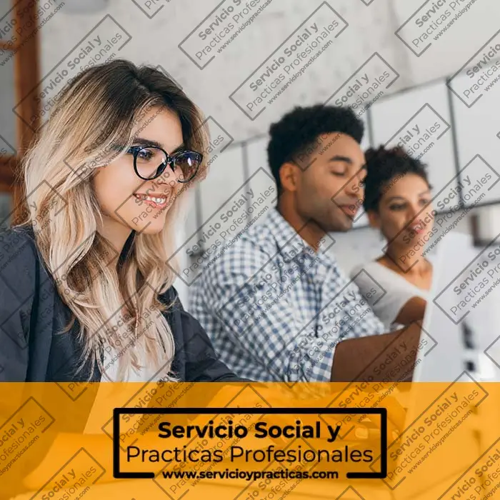 Empresas Para Residencias Profesionales