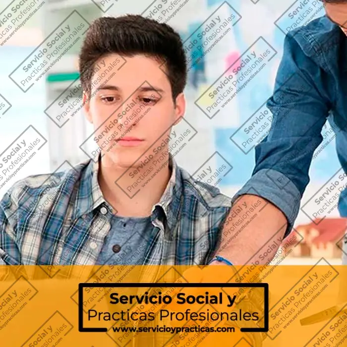 Practicante Pre Profesional De Ingenieria De Sistemas