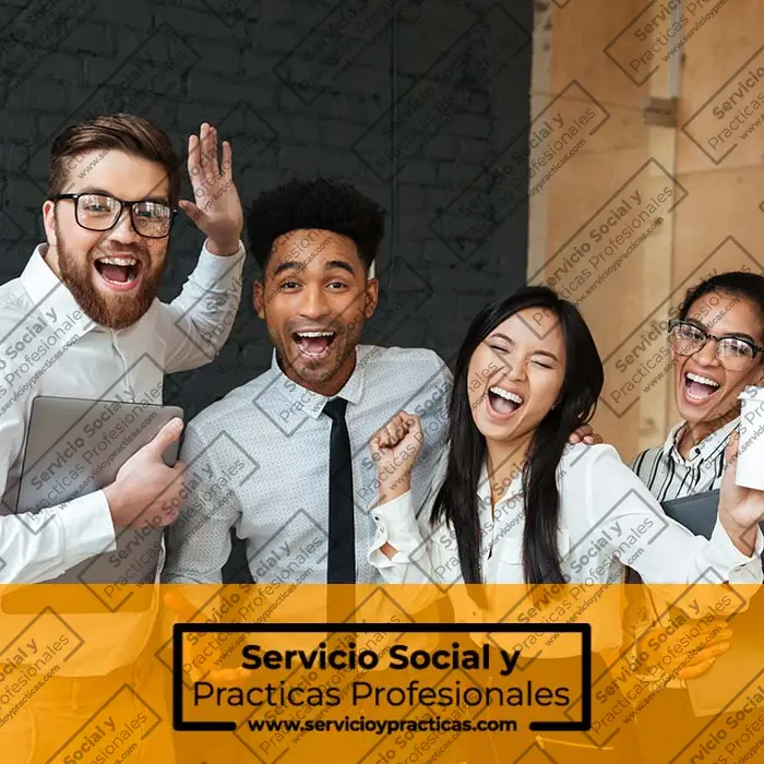 Practicas Profesionales Y Pre Profesionales